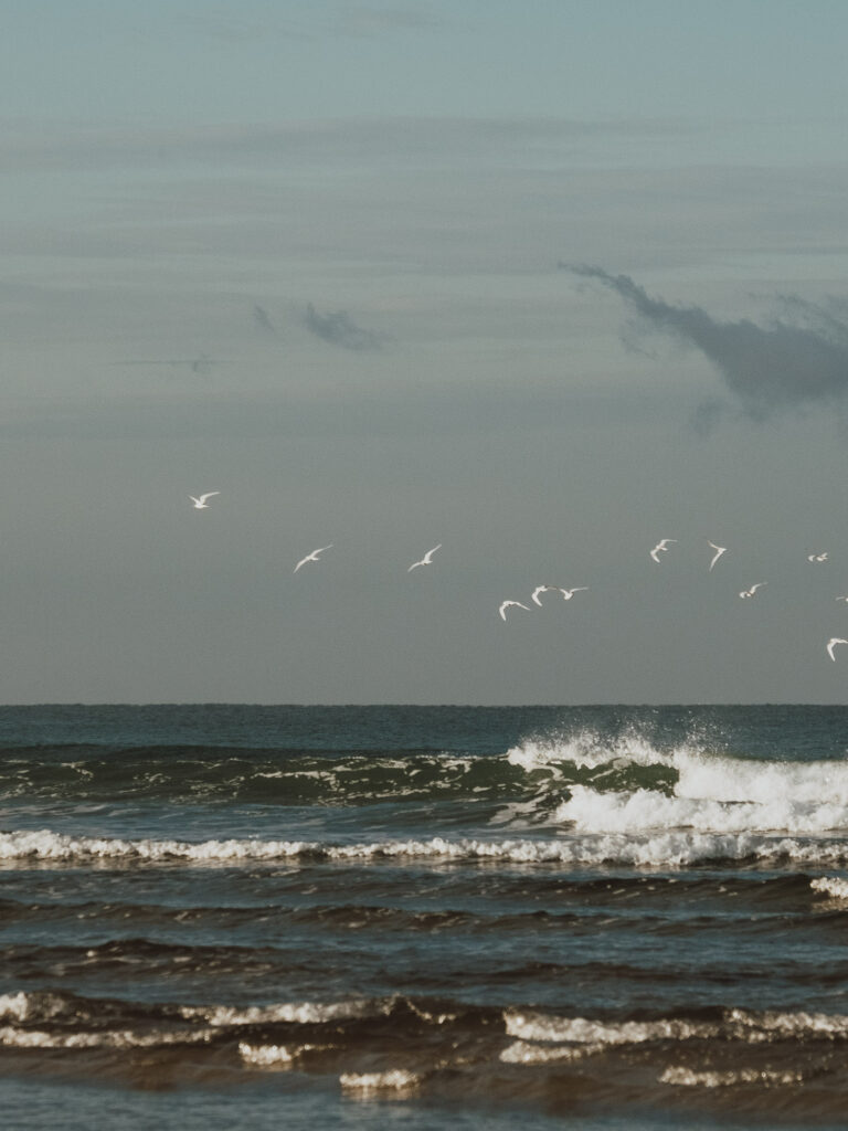 waarheid proclameren vrijheid van Jezus