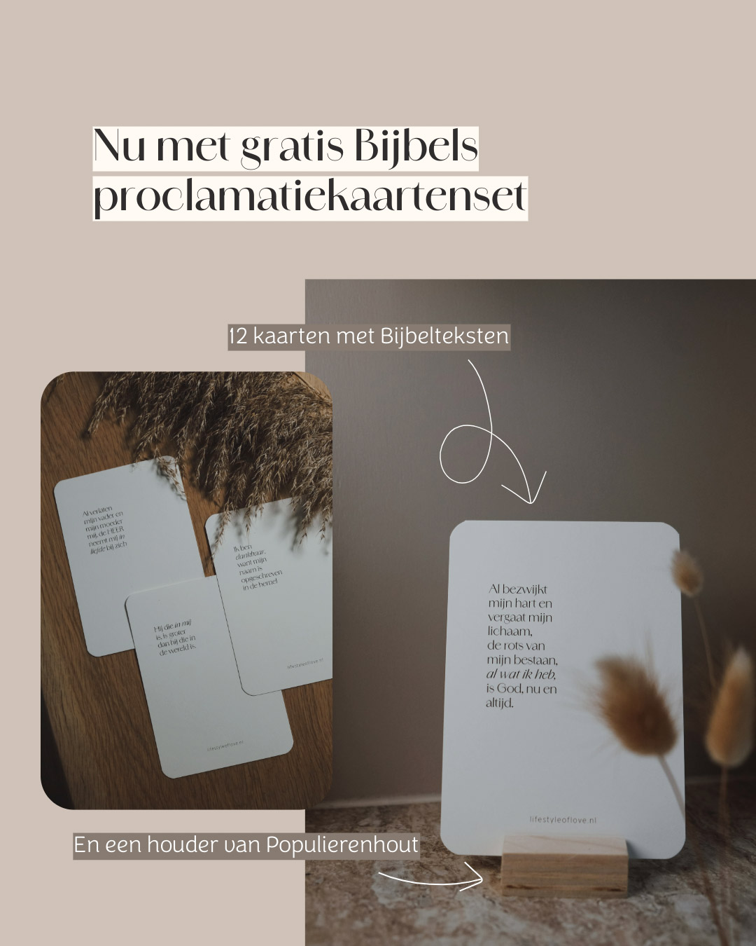 Bijbelse waarheden toepassen